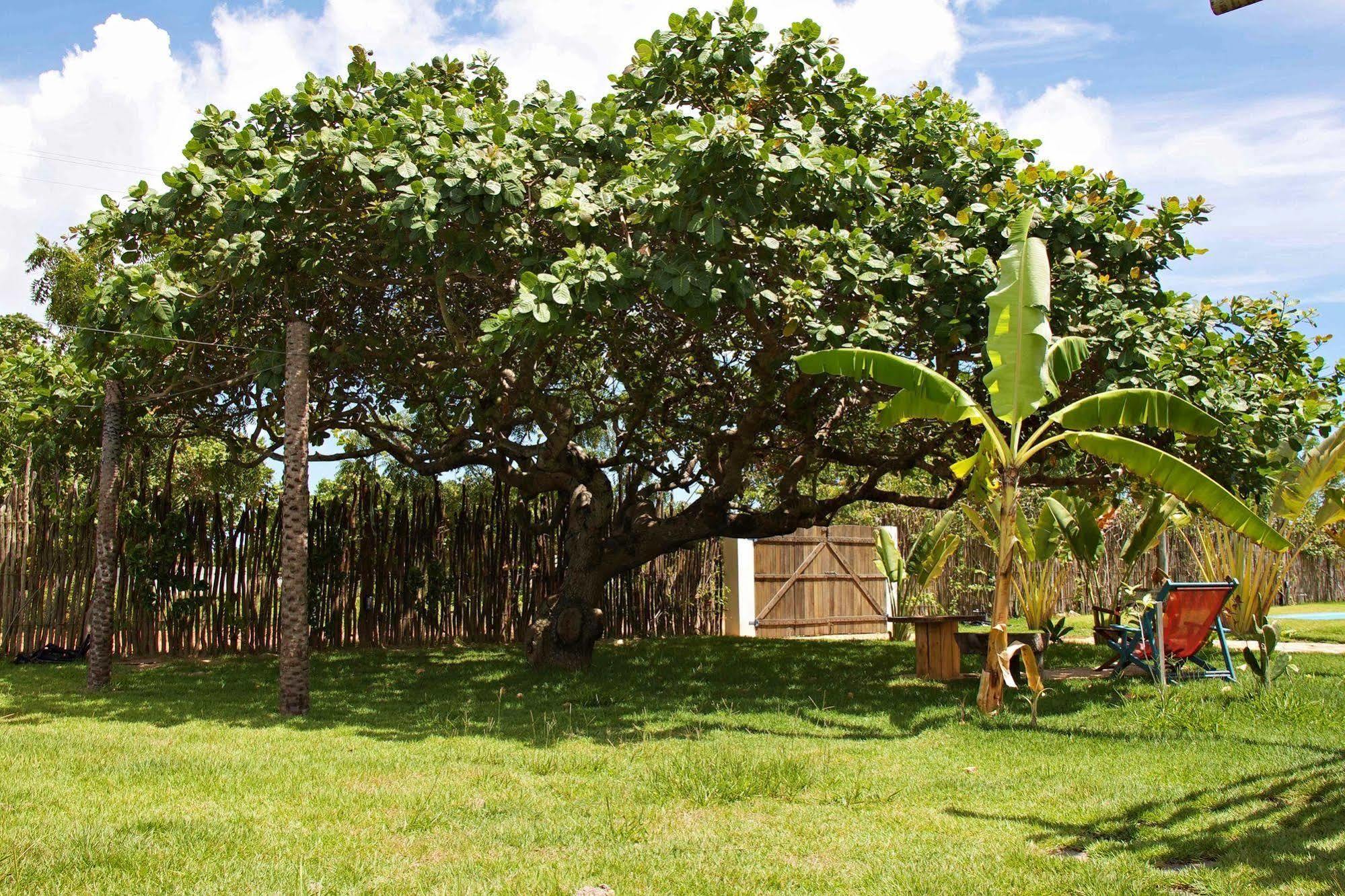 Pousada Casa Da Mata เซามิเกลโดกอสโตโซ ภายนอก รูปภาพ