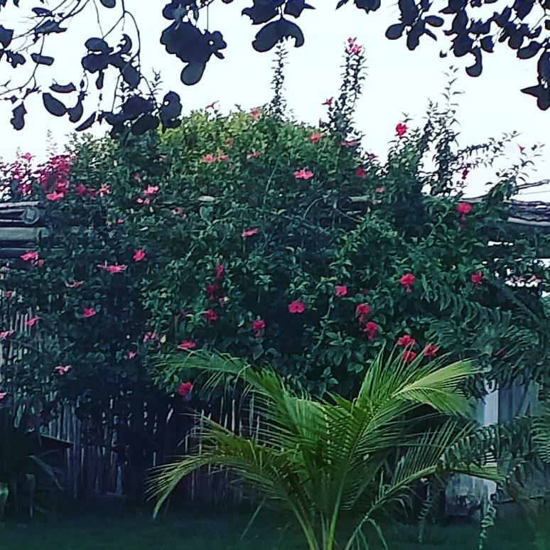 Pousada Casa Da Mata เซามิเกลโดกอสโตโซ ภายนอก รูปภาพ